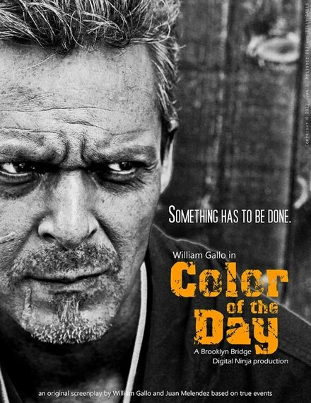 Постер Color of the Day