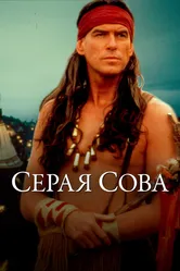 Серая сова 1998 постер