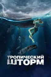 Тропический шторм 2022 постер