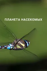 Планета насекомых 2022 постер