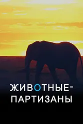 Животные-партизаны 2021 постер