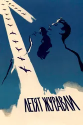 Летят журавли 1957 постер