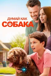 Думай как собака 2020 постер