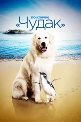По кличке «Чудак» 2015 постер