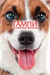 Гампи. Собачья жизнь 2024 постер
