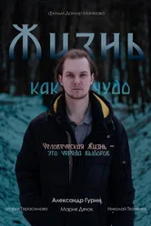 Жизнь как чудо 2025 постер