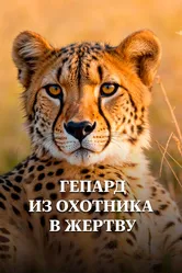 Гепард. Из охотника в жертву 2016 постер
