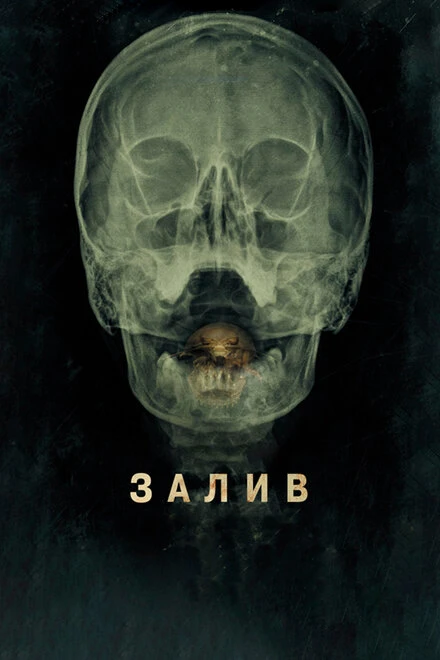 Постер Залив 2012