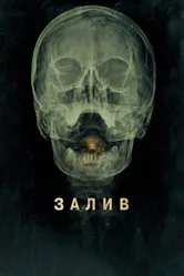 Залив 2012 постер