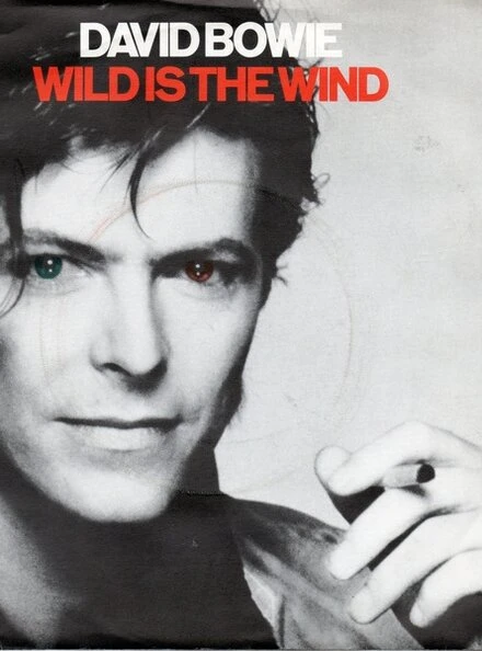 Постер David Bowie: Wild Is the Wind