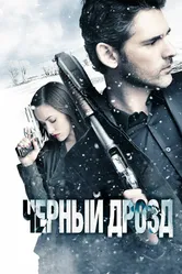 Чёрный дрозд 2011 постер