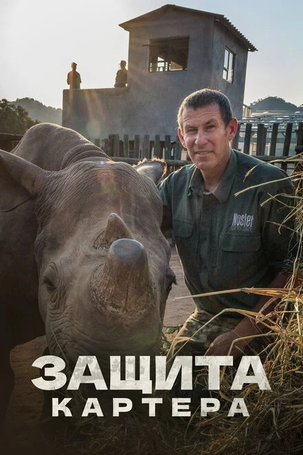 Постер Защита Картера 2015