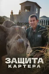 Защита Картера 2015 постер