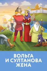 Вольга и султанова жена 2010 постер