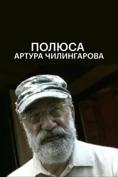 Полюса Артура Чилингарова 2009 постер