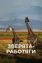 Зверята-работяги 2019 постер