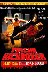 The Dark Angel: Psycho Kickboxer постер