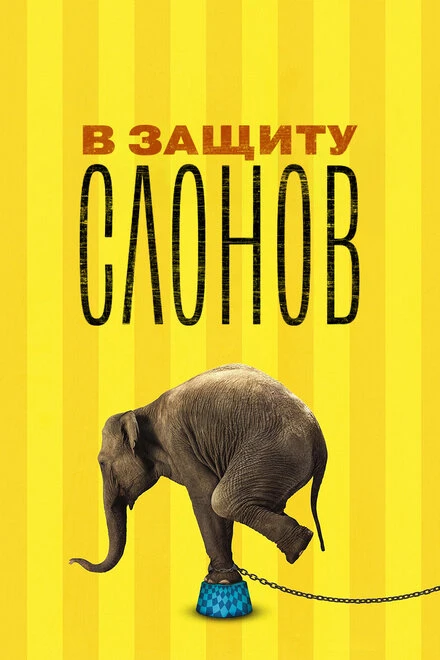 Постер В защиту слонов 2013
