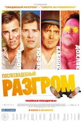Послесвадебный разгром 2016 постер