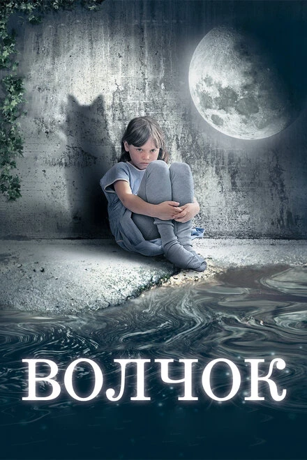 Постер Волчок 2009