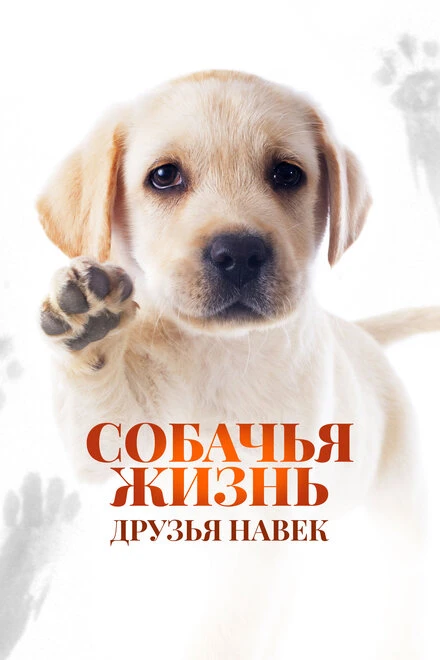 Постер Собачья жизнь: Друзья навек 2023