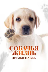 Собачья жизнь: Друзья навек 2023 постер