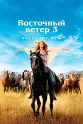 Восточный ветер 3: Наследие Оры 2017 постер
