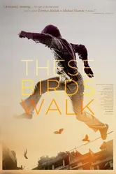 These Birds Walk постер