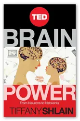 Brain Power: From Neurons to Networks постер