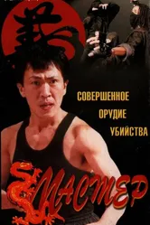 Мастер 1996 постер