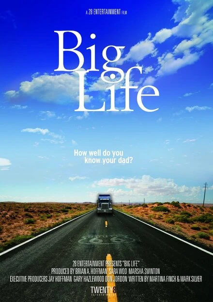 Постер Big Life
