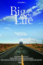 Big Life постер