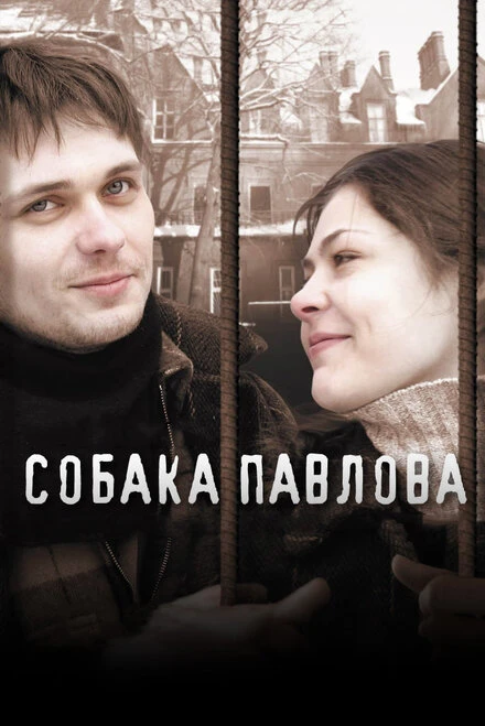 Постер Собака Павлова 2005