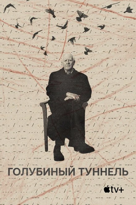 Постер Голубиный туннель 2023