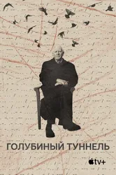 Голубиный туннель 2023 постер