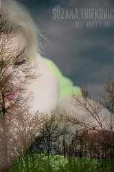 Deep House Climax постер