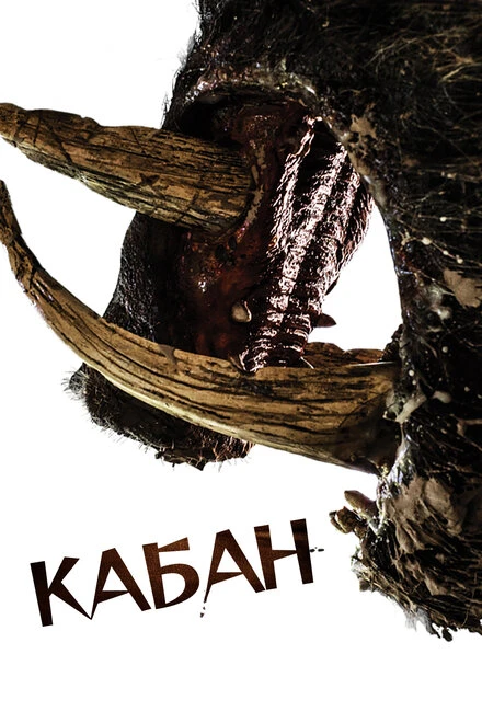 Постер Кабан 2017