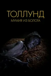 Толлунд. Мумия из болота 2023 постер