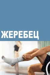 Жеребец 2009 постер