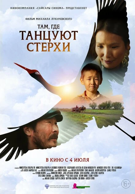 Постер Там, где танцуют стерхи 2024