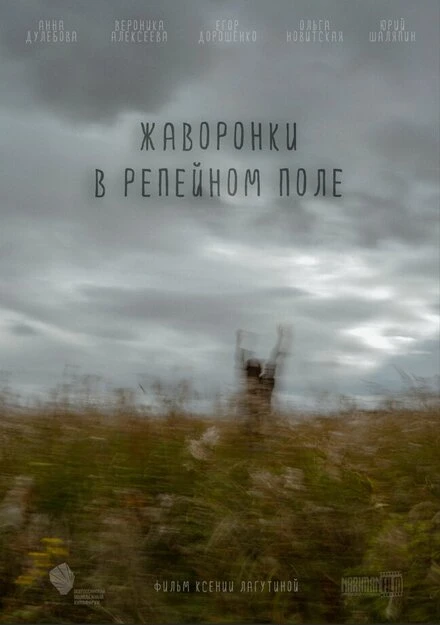 Постер Жаворонки в репейном поле 2021