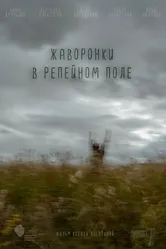 Жаворонки в репейном поле 2021 постер