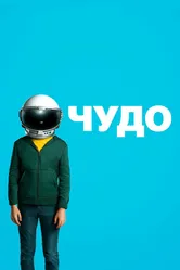 Чудо 2017 постер
