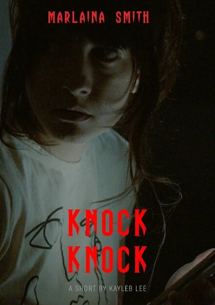 Постер Knock Knock