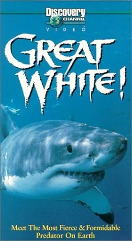 Постер Great White