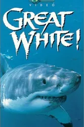 Great White постер