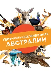 Удивительные животные Австралии 2024 постер