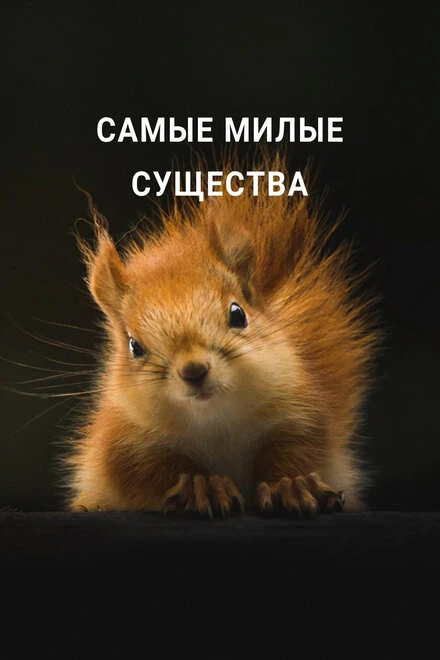 Постер Самые милые существа 2021