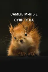 Самые милые существа 2021 постер