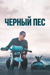 Чёрный пёс 2024 постер